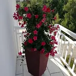 Apartamento Ivona Lumbarda