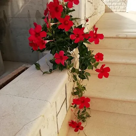 Ivona Apartment Lumbarda