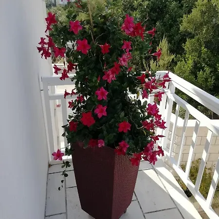 Apartman Ivona Lumbarda